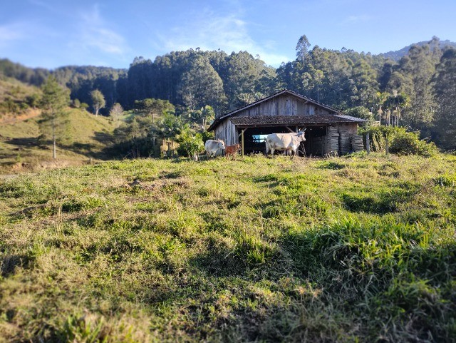 Chácara à venda com 3 quartos, 250m² - Foto 16