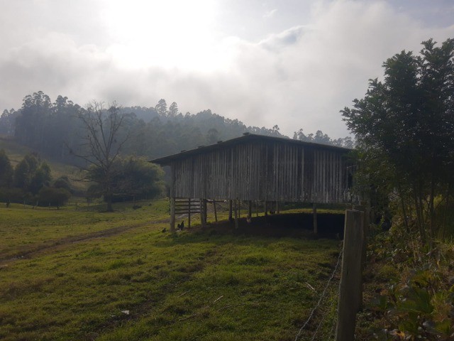 Fazenda à venda com 4 quartos, 45m² - Foto 16