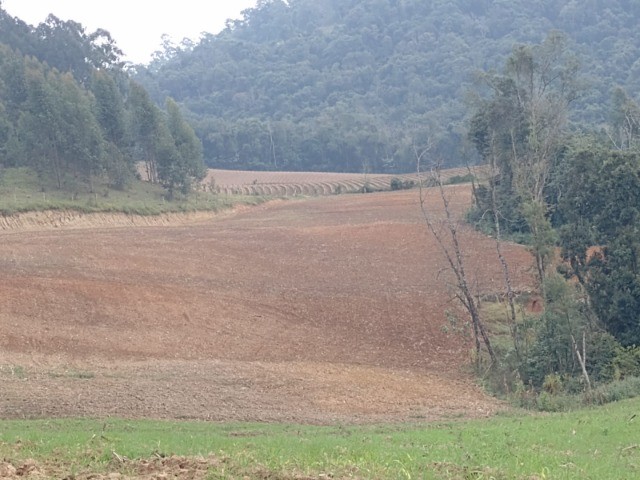 Fazenda à venda com 1 quarto, 22m² - Foto 13