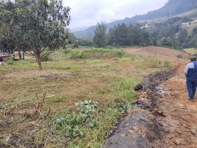 Terreno à venda, 4100m² - Foto 7