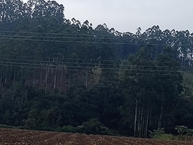 Fazenda à venda com 1 quarto, 22m² - Foto 5