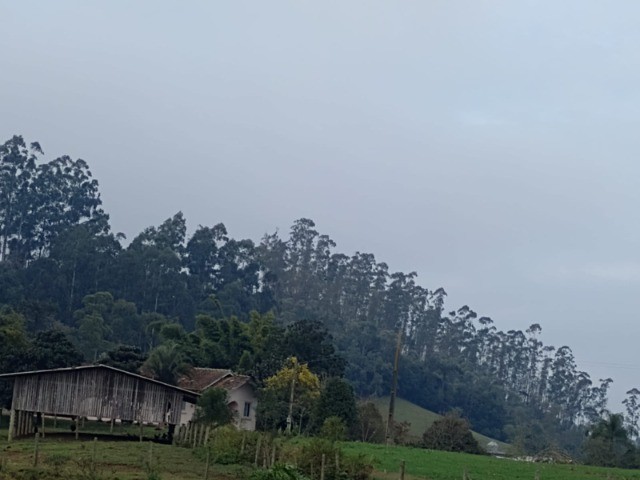 Fazenda à venda com 4 quartos, 45m² - Foto 19