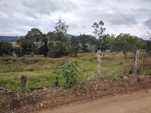 Fazenda à venda com 3 quartos, 15m² - Foto 6