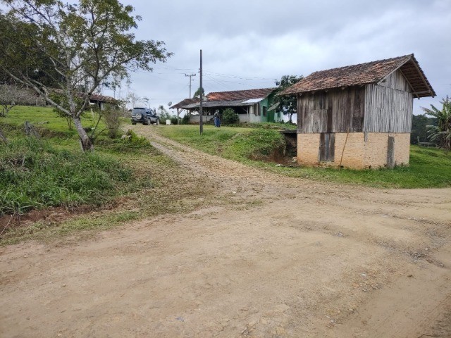 Fazenda à venda com 3 quartos, 15m² - Foto 14