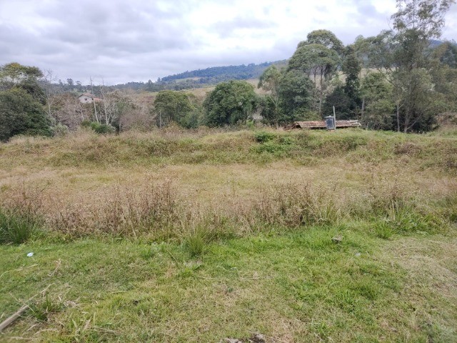 Fazenda à venda com 3 quartos, 15m² - Foto 16