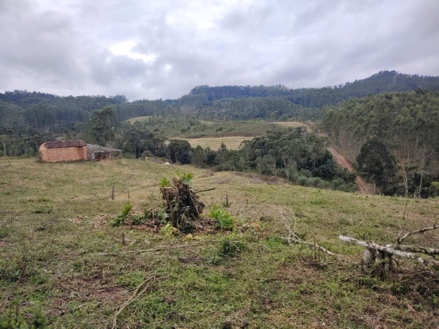 Fazenda à venda com 3 quartos, 15m² - Foto 15