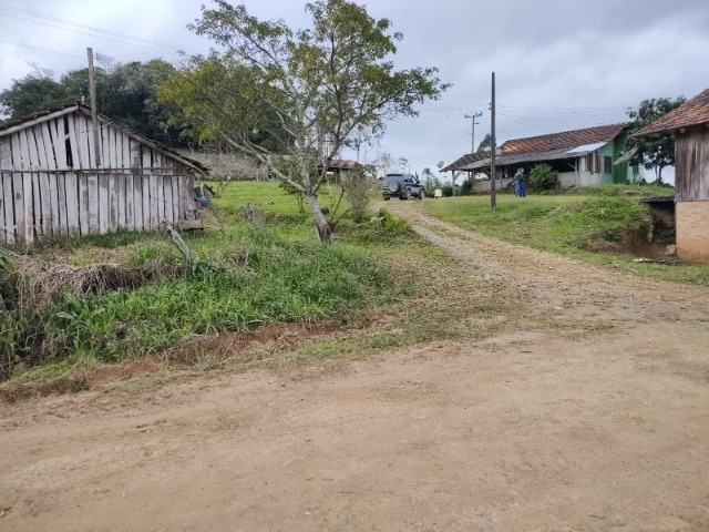 Fazenda à venda com 3 quartos, 15m² - Foto 13