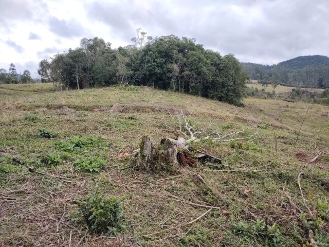 Fazenda à venda com 3 quartos, 15m² - Foto 9