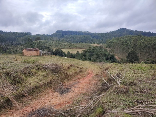 Fazenda à venda com 3 quartos, 15m² - Foto 7