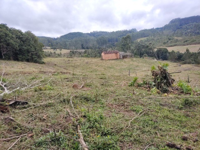 Fazenda à venda com 3 quartos, 15m² - Foto 10