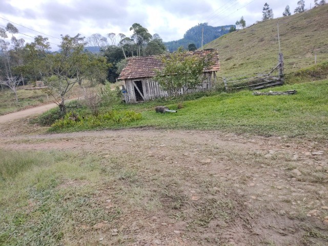 Fazenda à venda com 3 quartos, 15m² - Foto 20