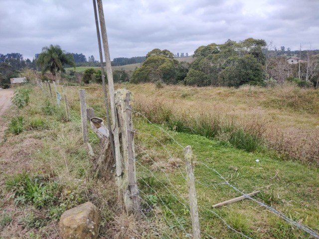 Fazenda à venda com 3 quartos, 15m² - Foto 17