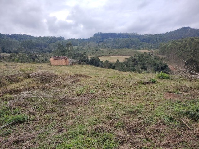 Fazenda à venda com 3 quartos, 15m² - Foto 12