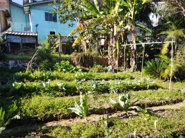 Casa à venda com 6 quartos, 200m² - Foto 13