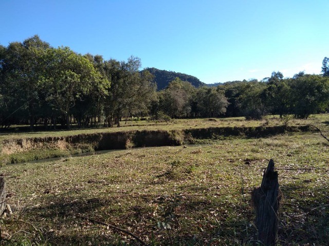 Fazenda à venda com 1 quarto, 9m² - Foto 6