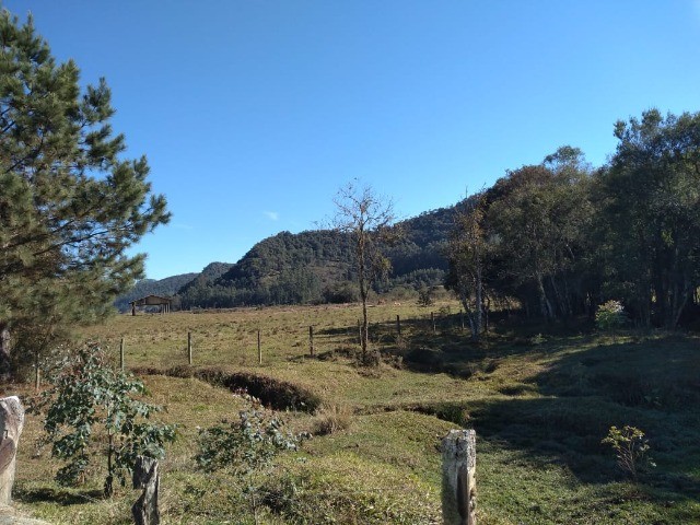 Fazenda à venda com 1 quarto, 9m² - Foto 5