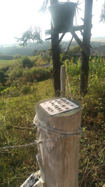 Fazenda à venda com 3 quartos, 240m² - Foto 8