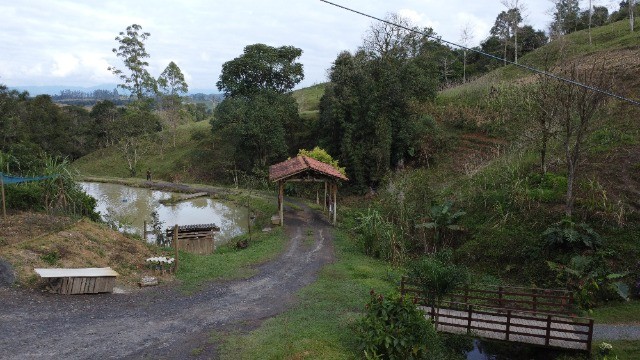 Chácara à venda com 4 quartos, 180m² - Foto 18