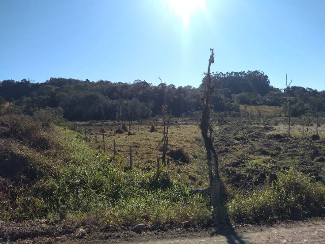 Fazenda à venda com 1 quarto, 9m² - Foto 10