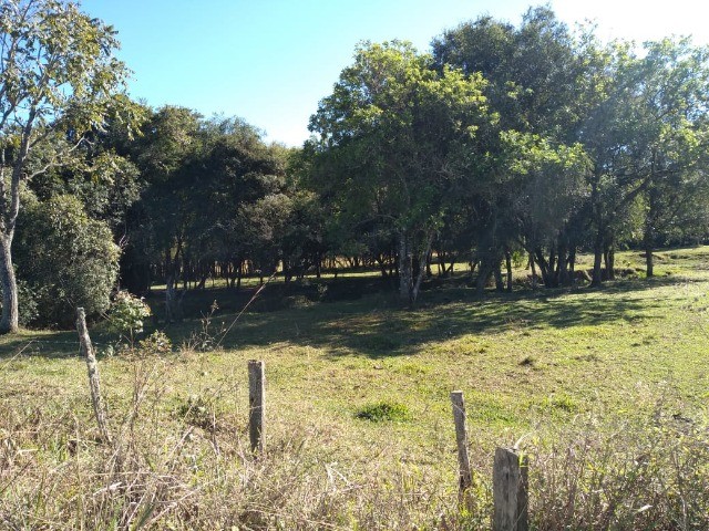 Fazenda à venda com 1 quarto, 9m² - Foto 7