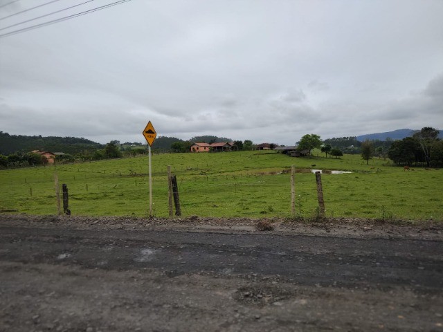 Fazenda-Sítio-Chácara, 3 hectares - Foto 4