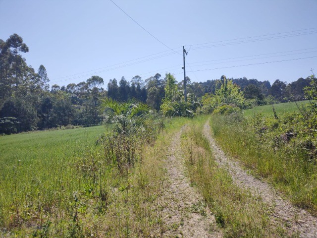 Fazenda à venda com 5 quartos, 12m² - Foto 6