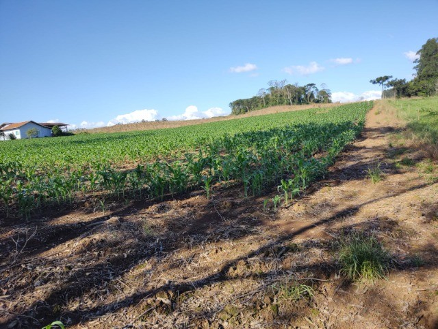 Terreno à venda, 1214m² - Foto 9