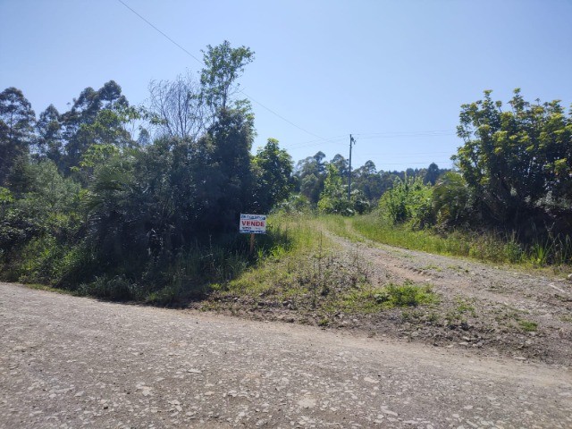 Fazenda à venda com 5 quartos, 12m² - Foto 5