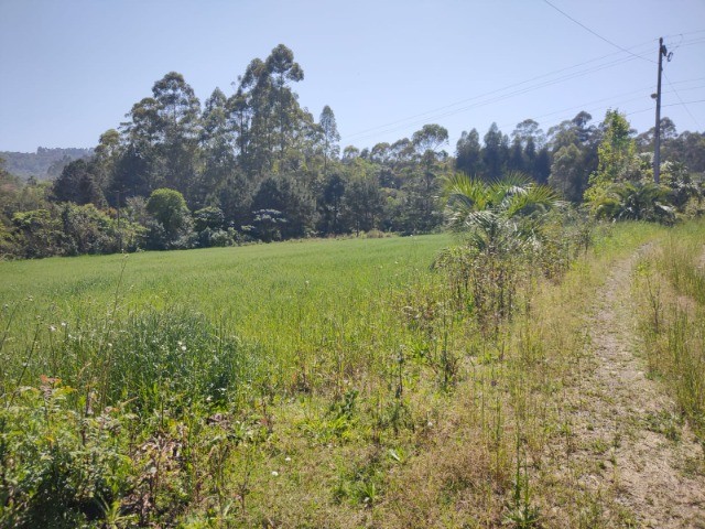 Fazenda à venda com 5 quartos, 12m² - Foto 9