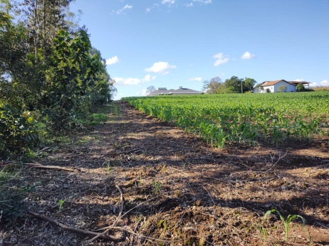 Terreno à venda, 1214m² - Foto 7