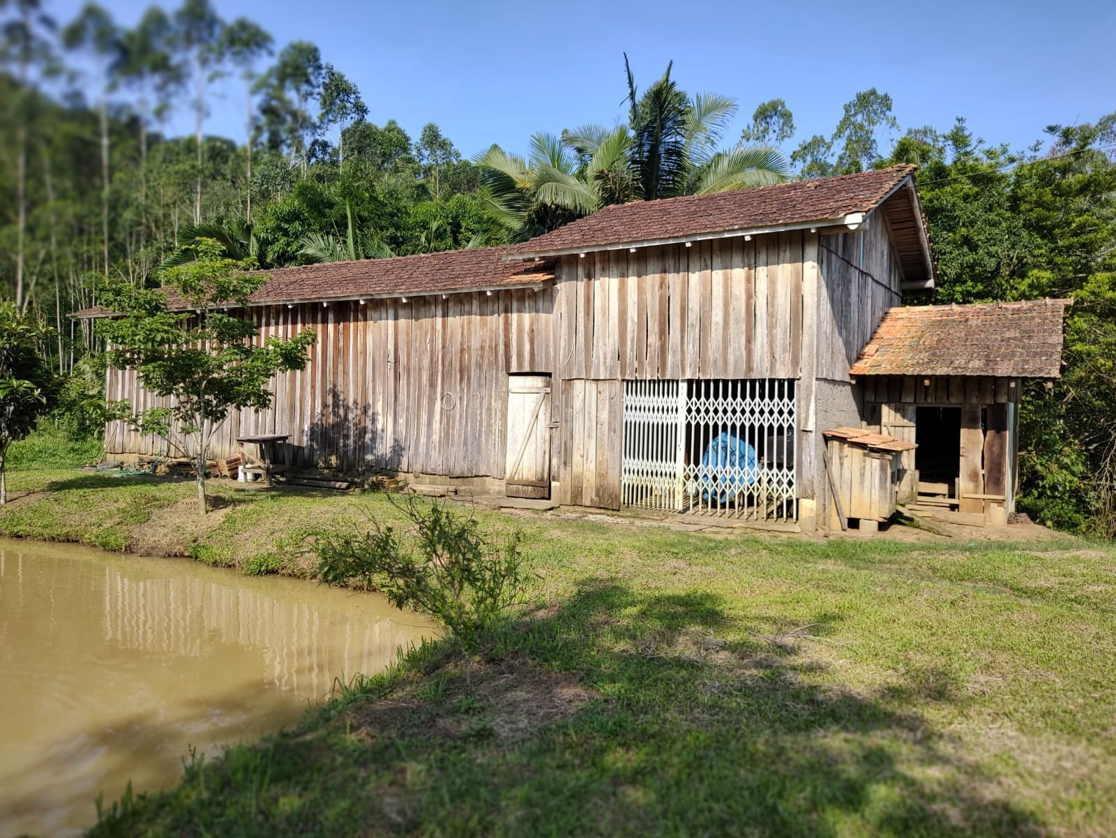 Chácara à venda com 5 quartos, 300m² - Foto 3