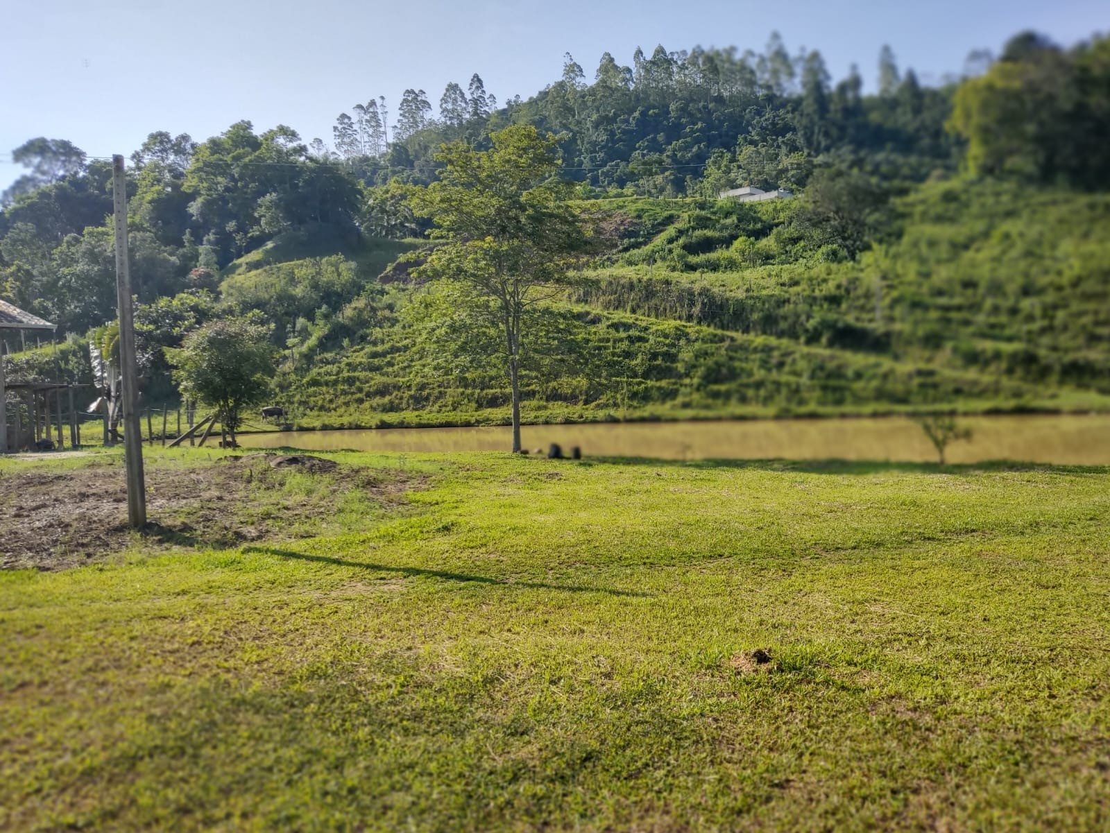 Chácara à venda com 5 quartos, 300m² - Foto 9