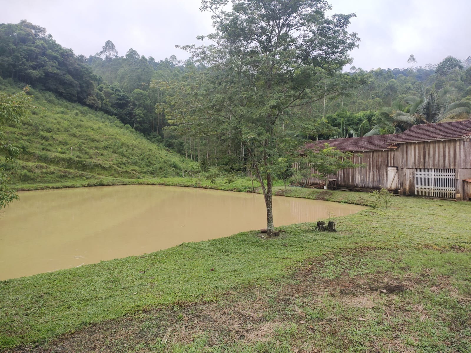 Chácara à venda com 5 quartos, 300m² - Foto 25