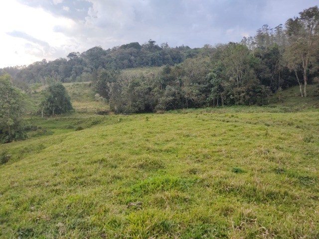 Fazenda à venda com 4 quartos, 4m² - Foto 4