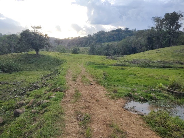 Fazenda à venda com 4 quartos, 4m² - Foto 8