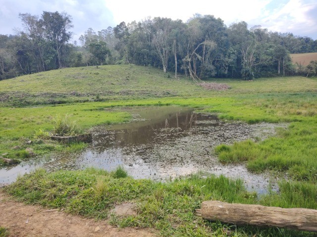 Fazenda à venda com 4 quartos, 4m² - Foto 11