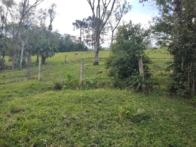 Fazenda à venda com 4 quartos, 4m² - Foto 22