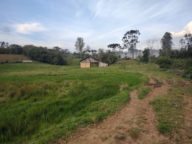 Fazenda à venda com 4 quartos, 4m² - Foto 13