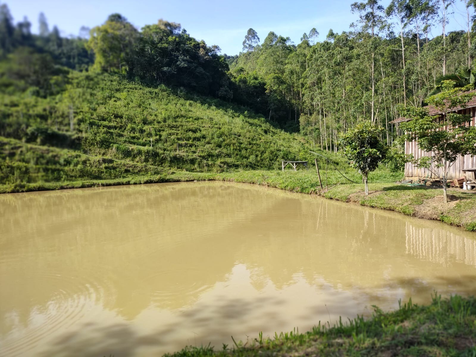 Chácara à venda com 5 quartos, 300m² - Foto 6