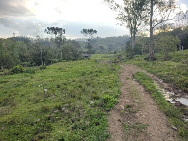 Fazenda à venda com 4 quartos, 4m² - Foto 19