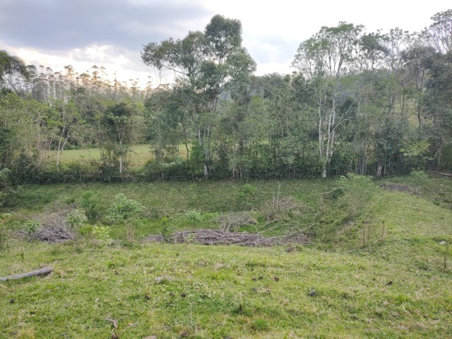 Fazenda à venda com 4 quartos, 4m² - Foto 7