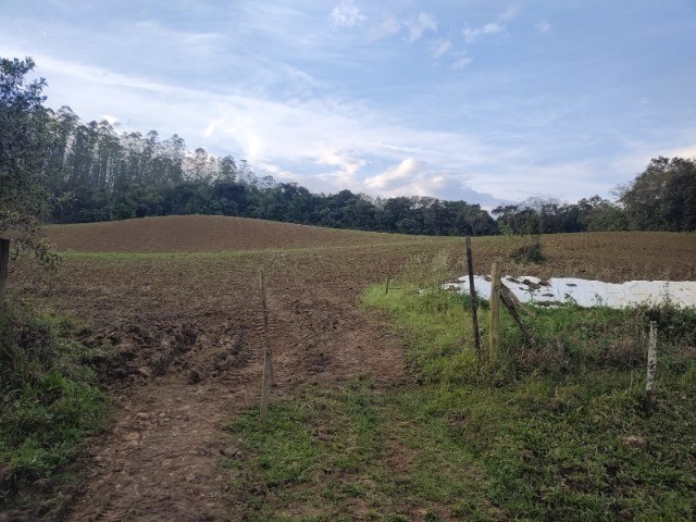 Fazenda à venda com 4 quartos, 4m² - Foto 1