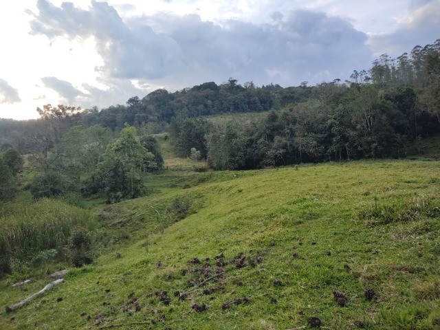 Fazenda à venda com 4 quartos, 4m² - Foto 6