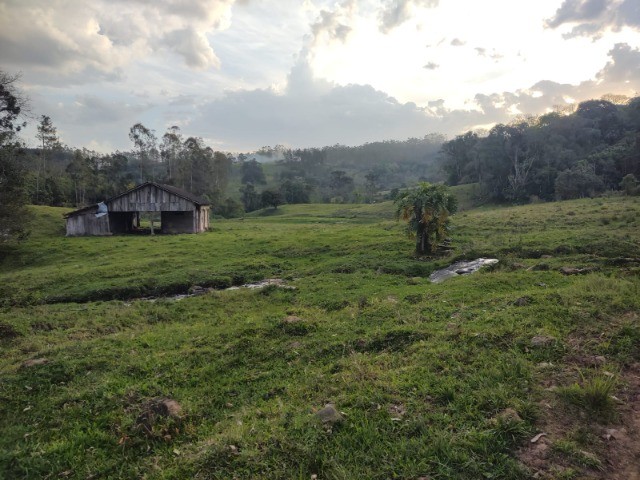 Fazenda à venda com 4 quartos, 4m² - Foto 14