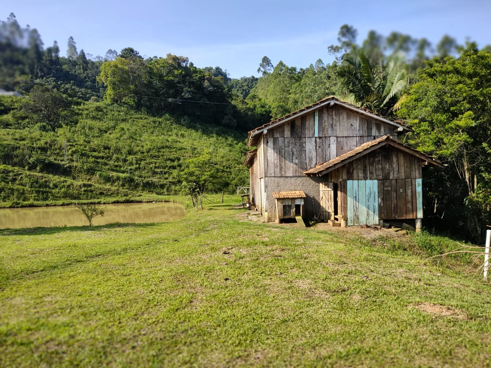 Chácara à venda com 5 quartos, 300m² - Foto 10