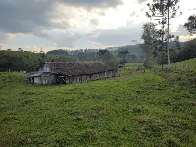 Fazenda à venda com 4 quartos, 4m² - Foto 17