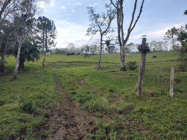 Fazenda à venda com 4 quartos, 4m² - Foto 18