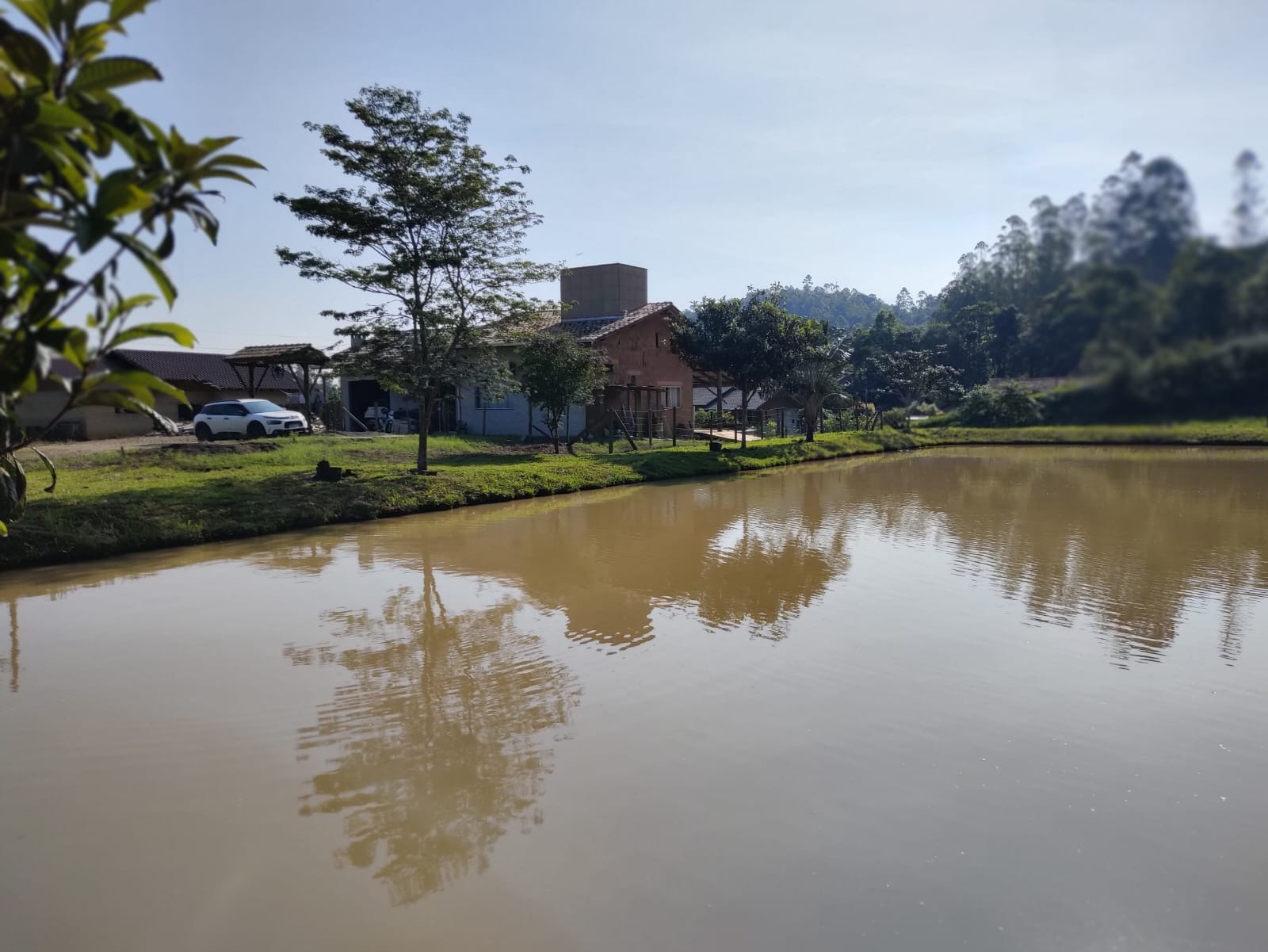 Chácara à venda com 5 quartos, 300m² - Foto 5