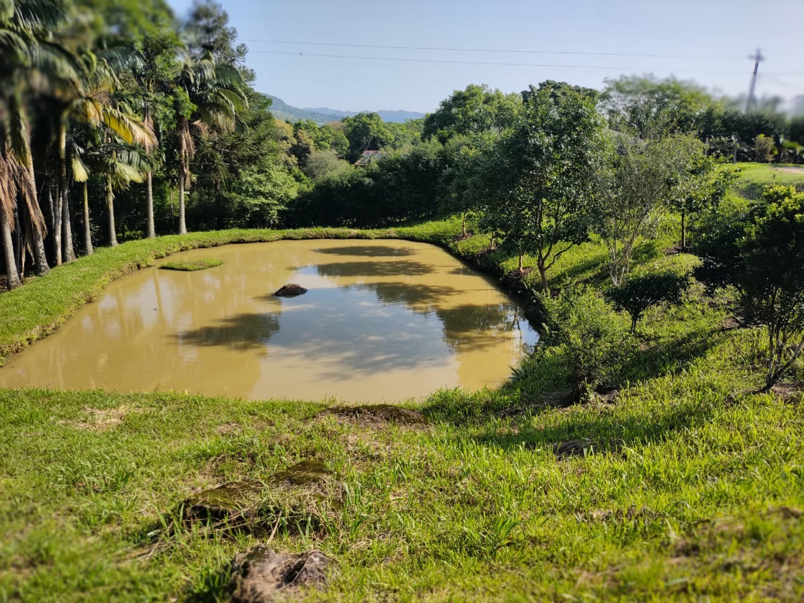 Chácara à venda com 5 quartos, 300m² - Foto 2