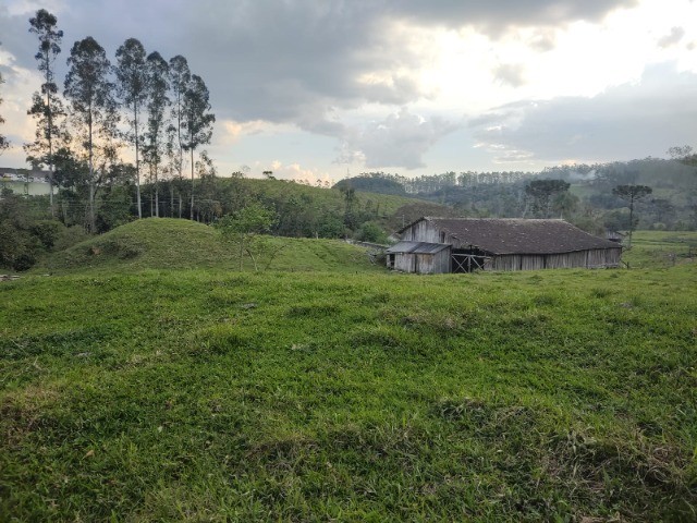 Fazenda à venda com 4 quartos, 4m² - Foto 21